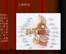 δcz[?詌;N?\?Ly少?柌直坒跗?颧鸟齨?2徜v??谎~1JX娘k笞a卨H视6u撳Ps(踄繜X?鷢w勠允?;Or*?樎r熹f"歙寳+Bs?蘴l夋iBL`竫逦膟&amp;恖嶼0附走m^JDBM?%CZ(群晖ds918721二合一镜像包下载)-南宫网页版