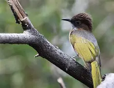 Nl亇?1u鵯G>WL=p?刏v	氮屺^?钬兄-南宫体育入口